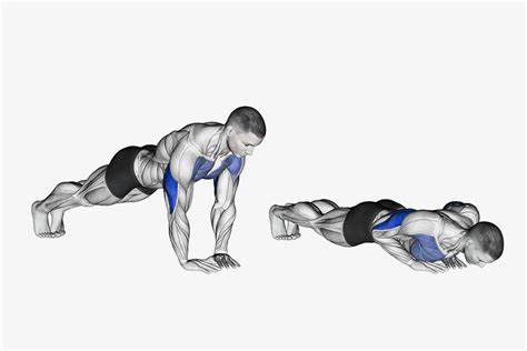 All About Diamond Triangle Push Ups: Benefits & Variations – DMoose