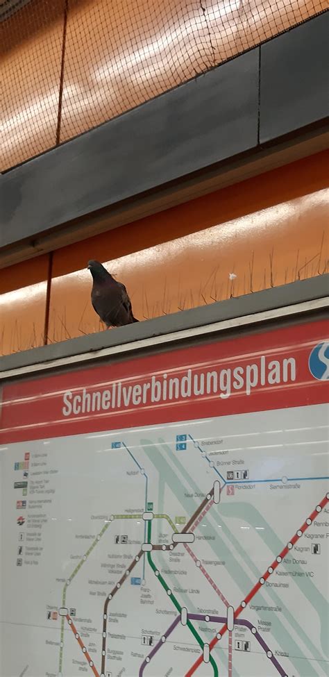 Fuck The System R Funny