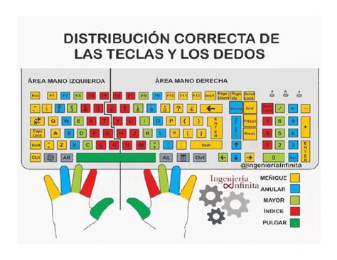 Mecanografia O Que É - Mecanografia... Distribucion Correcta de Las Teclas y Los Dedos | PDF