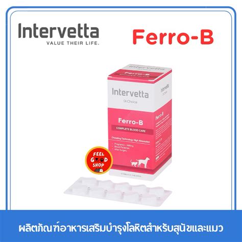 Ferro b บำรุงเลือดสำหรับแมวและสุนัข 100 เม็ด หมดอายุ 01/2026 | Shopee ...