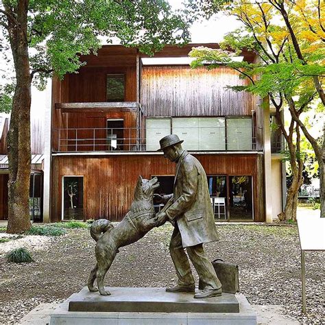 National Pet Memorial Day 2023 History Importance And How To Celebrate