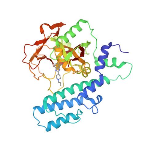 RCSB PDB - 2RCW: PARP complexed with A620223
