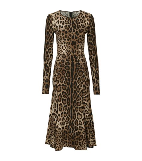 Womens Dolce And Gabbana Multi Leopard Print Midi Dress Harrods Us