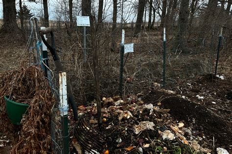 composting basics worlds  school  thought agriculture  craft