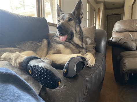 Ruffwear Grip trex Boots - An Honest Review - Rebarkable