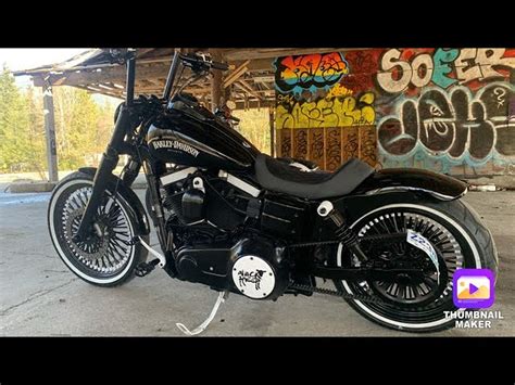 Black Dyna Atelier Yuwaciaojp
