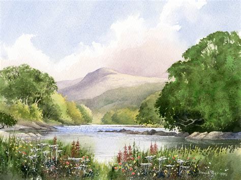 David Bellamy – Painting the Wye | Bellamy's Bivouac