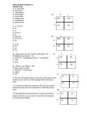 Bikini Bottom Genetics Key Bikini Bottom Genetics Answer Key A Long Nose B Blue