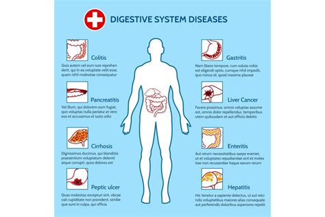 Human Digestive System Diseases