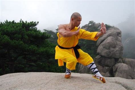 Monje Shaolin Defensa Y Ataque En Armon A Shaolin Kung Fu Monje