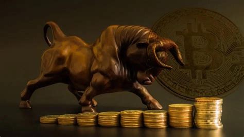 long   bull run  rbitcoin