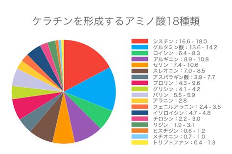 タンパク質と髪について｜うす毛ナビ