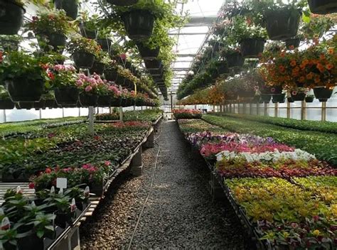 15 Types Of Nursery In Agriculture And Horticulture Farm Practices