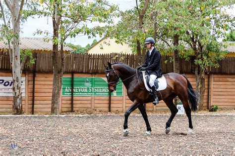 Andrew Philip Dressage Added A Andrew Philip Dressage