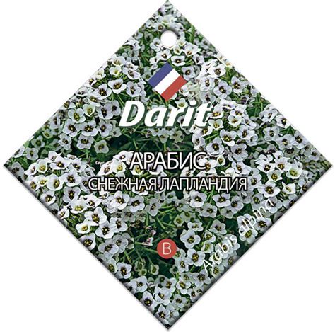 Декоративные разные Darit Семена Darit "Арабис Снежная Лапландия ...