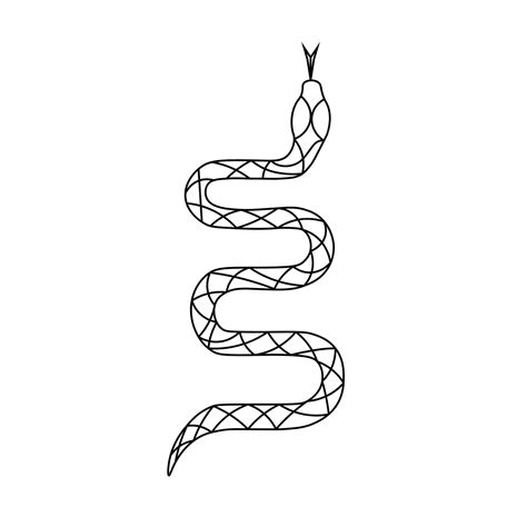 Serpiente Vector Premium