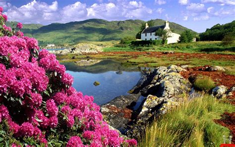 House Scenery Wallpaper Random Wallpaper 36251400 Fanpop