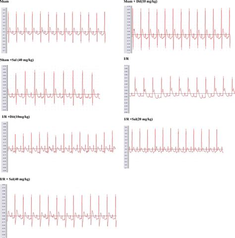 Representative Electrocardiogram Ecg Traces In Each Group Sham Rats