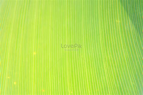 transmit light effect images hd pictures   vectors