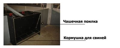 Бункерная кормушка для откорма свиней