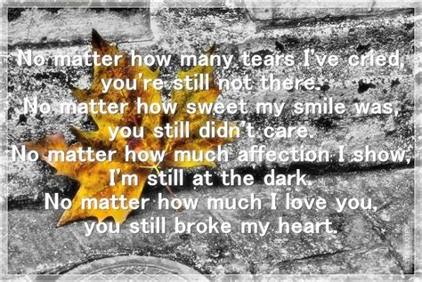 No Matter How Many Tears Ive Cried Silver Quotes