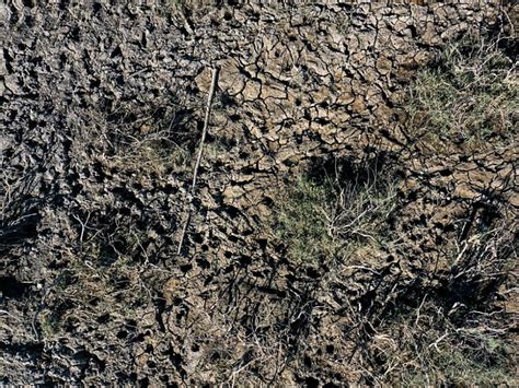 Schlimmste Dürre in Madagaskar seit 40 Jahren SN at