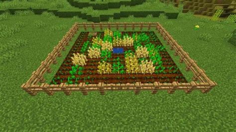 How to create a Wheat farm in Minecraft: Tools required, process and more