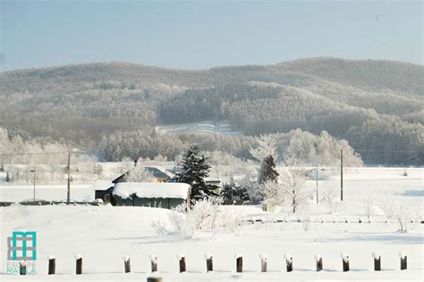 IN PHOTOS : Winter in Hokkaido - Escape Manila