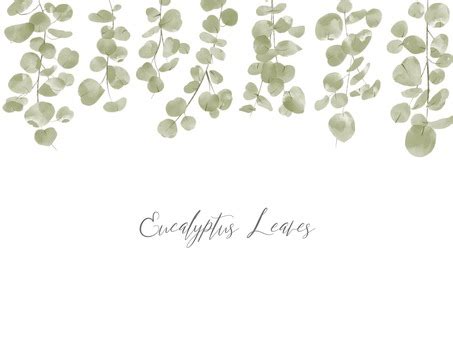 Eucalyptus Clipart Free Masterbundles Clip Art Library