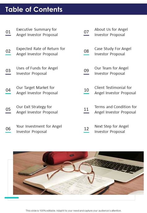 Table Of Contents Angel Investor Proposal One Pager Sample Example