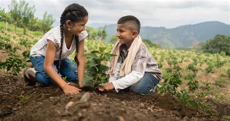 ¿por Qué Debemos Participar En El Cuidado Del Medio Ambiente Perú