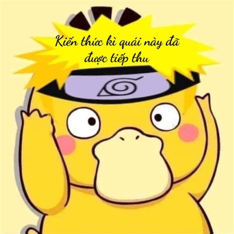 Lo T Nh Meme Ki N Th C K Qu I N Y C Ti P Thu C C Hot