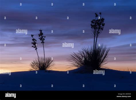 White Sands National Park In New Mexico Is One Of The Newest Additions