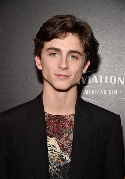 Hot Timothée Chalamet Pictures POPSUGAR Celebrity UK Photo 36