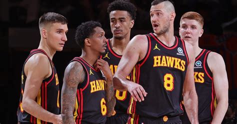 19 Facts About Hawks - Facts.net