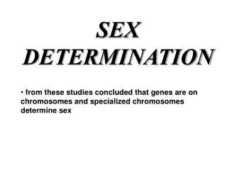 PPT Determination Of Sex Factors Genes And Development PowerPoint