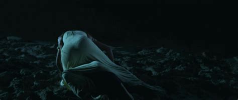 Svetlana D Petkovic Nude Pics Pagina