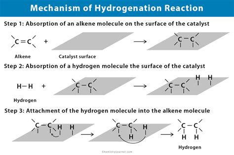 Hydrogenation Reaction Mechanism