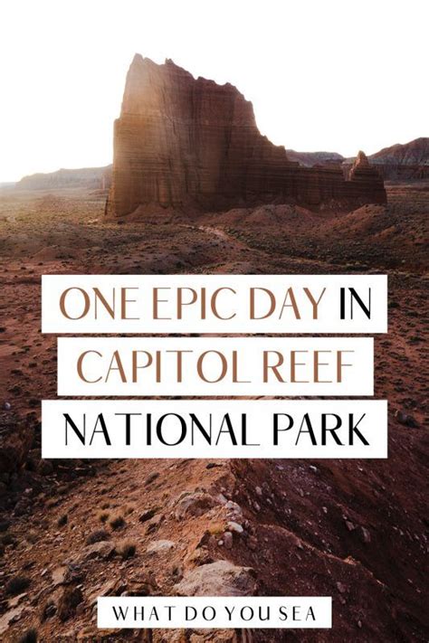 Looking For The Best Capitol Reef National Park Itinerary For Only One