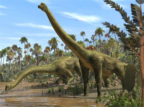 Titanosaurs Top 15 Biggest Dinosaurs Of The World