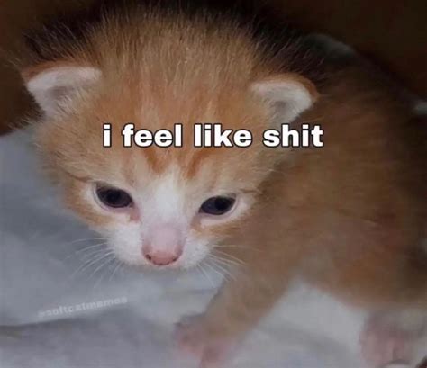 You Know What Fuck It Tell Me A Question And Ill Answer Because Im Bored As Hell R