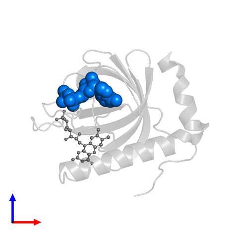 Pdb N Gallery Protein Data Bank In Europe Pdbe Embl Ebi