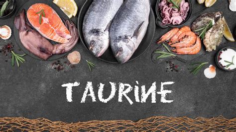 Top 10 Foods Highest in Taurine – Pop Listicle