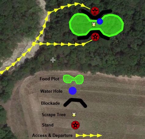 Grow Em Big Using A Bulldozer To Create The Best Food Plots For Deer