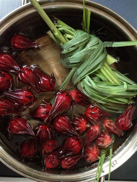7 amazing health benefits of sorrel – Artofit