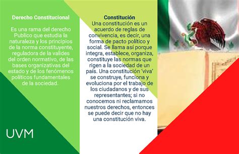 Infografia Infogracia Constitucion Articulo Segmentacion Uvm