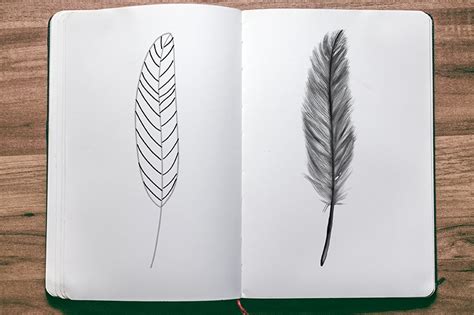 How To Draw A Realistic Feather Step By Step