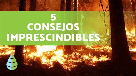 Prevención de INCENDIOS FORESTALES 🔥 ¡Muy Importante! - YouTube