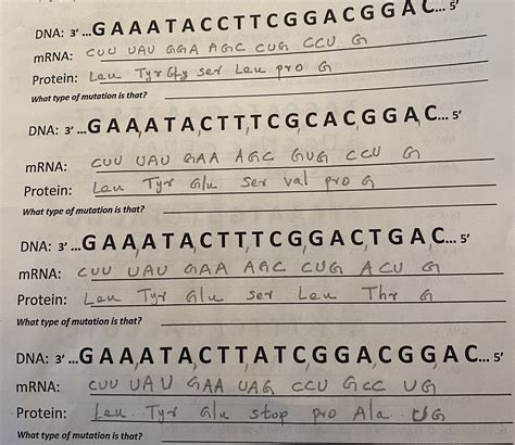 Solved DNA: 3′… G A A A A C C T T C G G A C G G A C... 5′ | Chegg.com