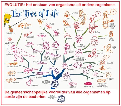biogeografie bewijs van evolutie